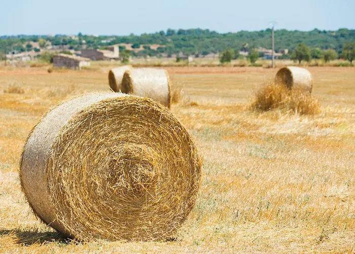 248 Casa Pedrona Etvpl15151 By Mallorca Charme Ferienhaus Can Picafort (Mallorca)